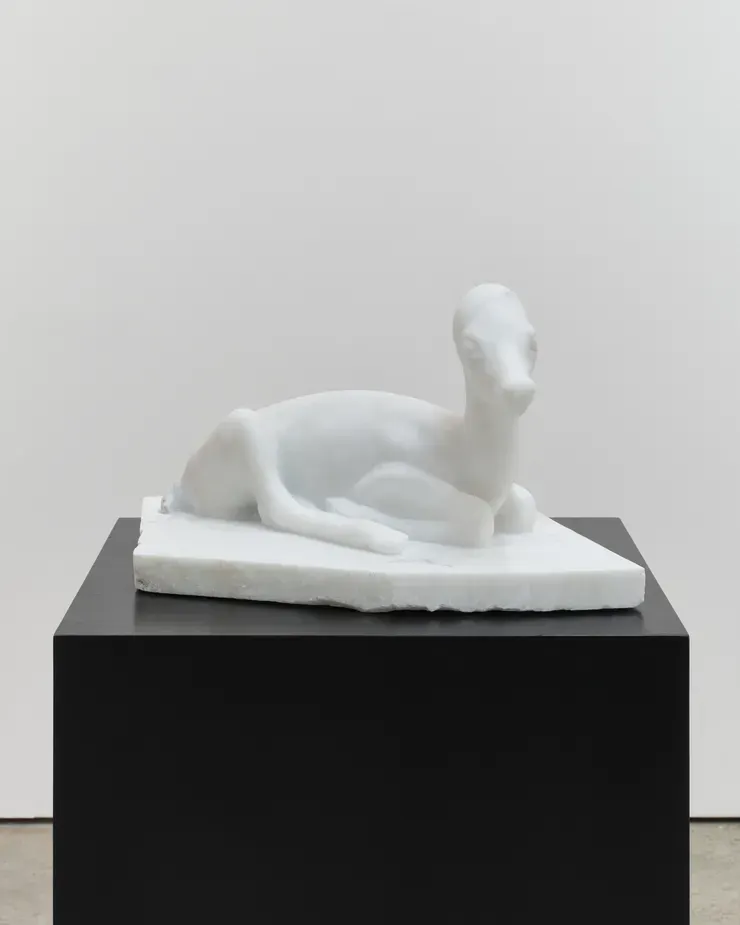 Nevine Mahmoud, Baby Deer
