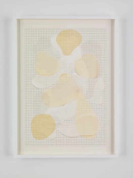 Vik Muniz, Handmade: Graph ghosts