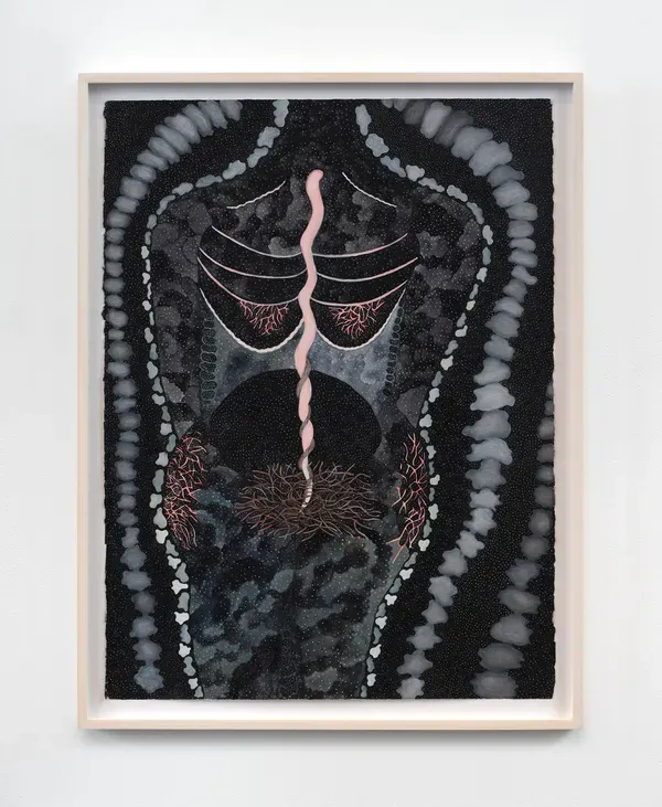 Ann Leda Shapiro, Snake Spine