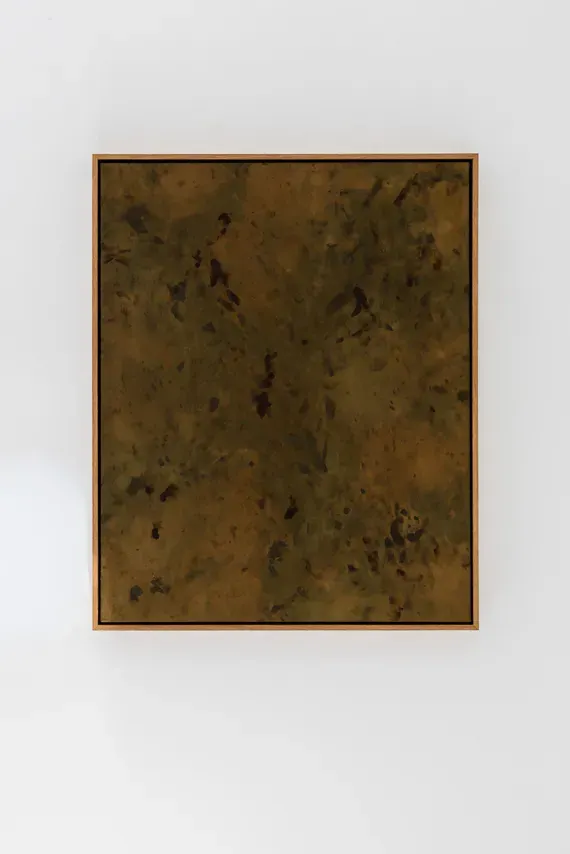 Jan Cools, LLUM "Dappled"
