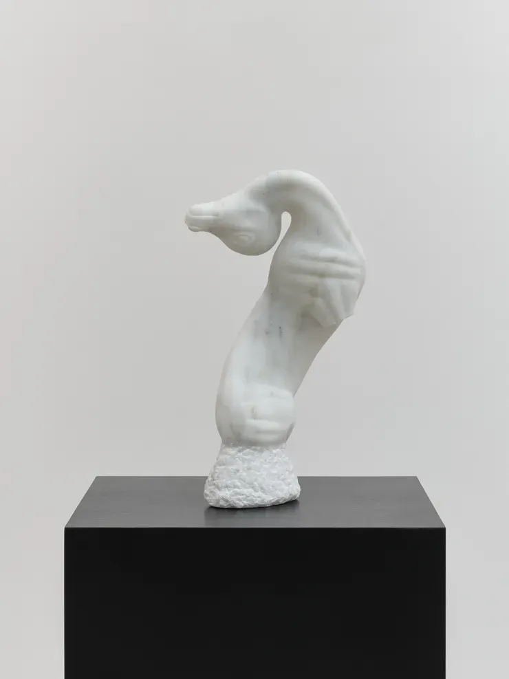 Nevine Mahmoud, Daphne