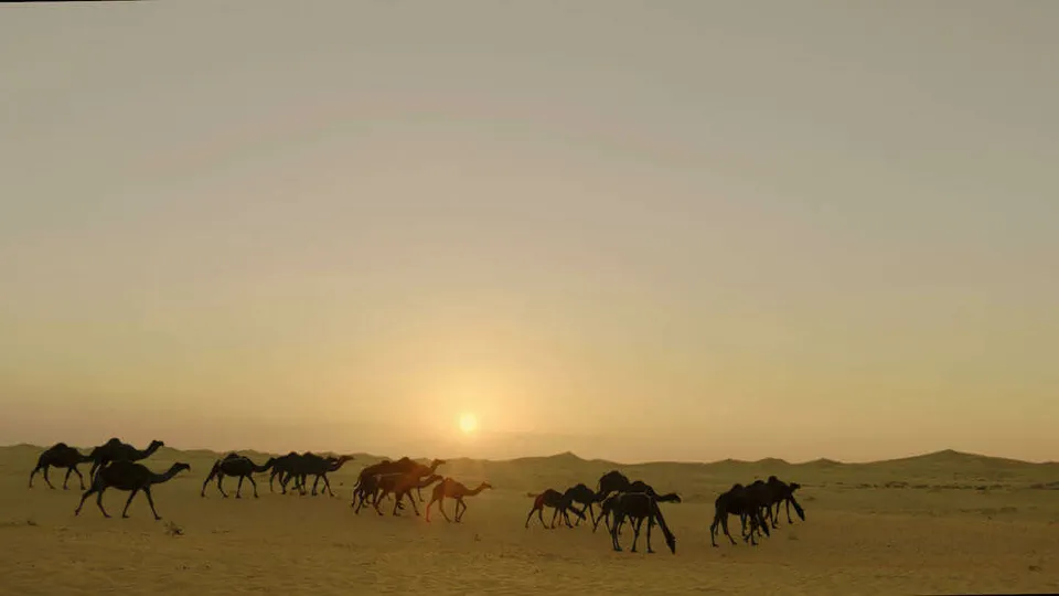 Wael Shawky, Dictums: Manqia I, 2014