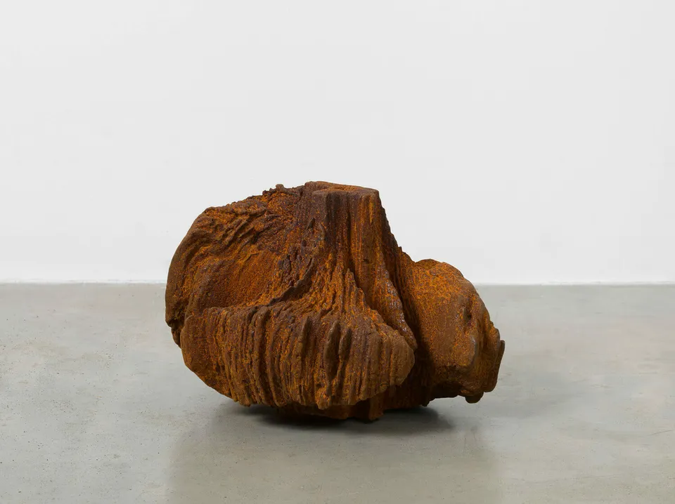 Ai Weiwei, Iron Root