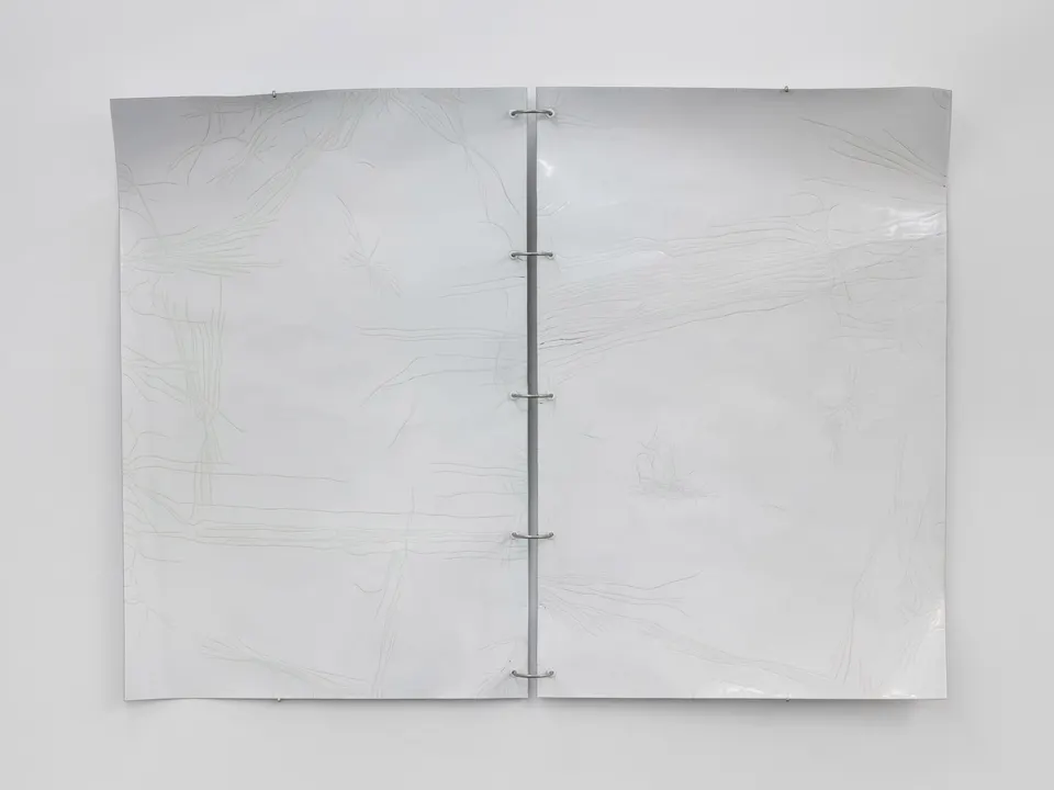 Marie-Michelle Deschamps, Occasional work