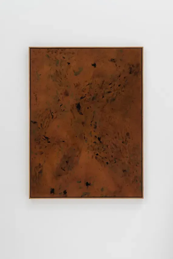 Jan Cools, LLUM "Fulgent"