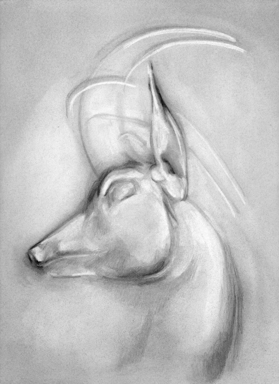 Emma Webster, Pan