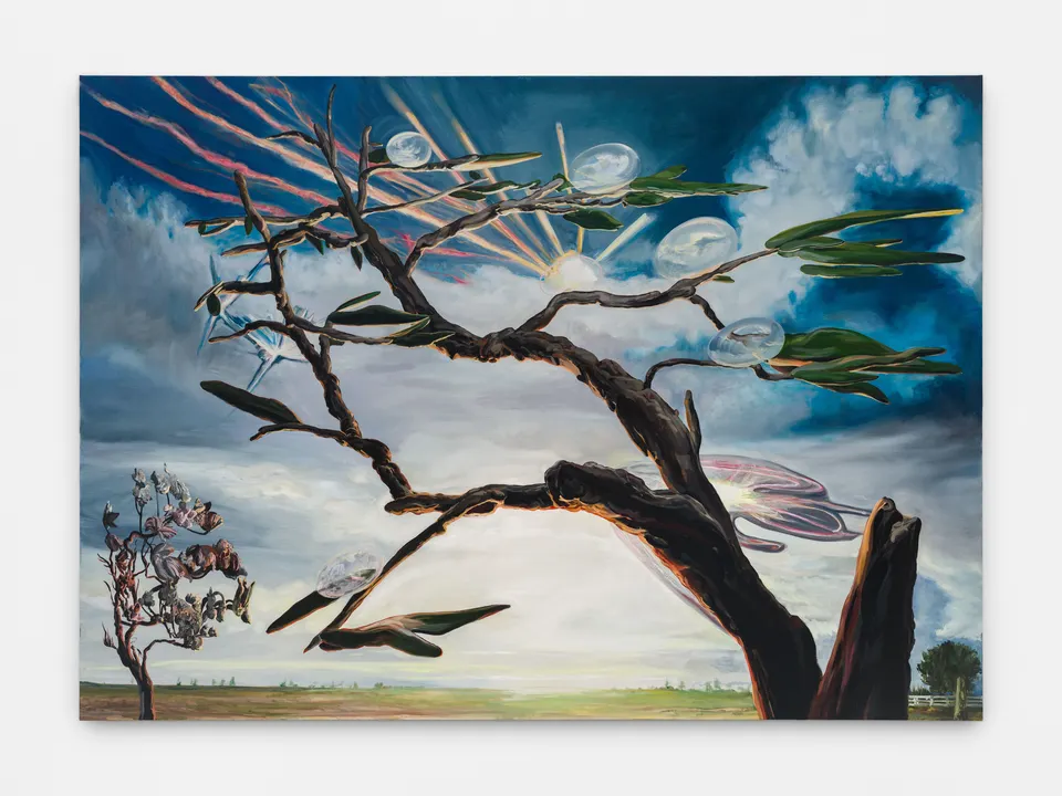 Emma Webster, Limned
