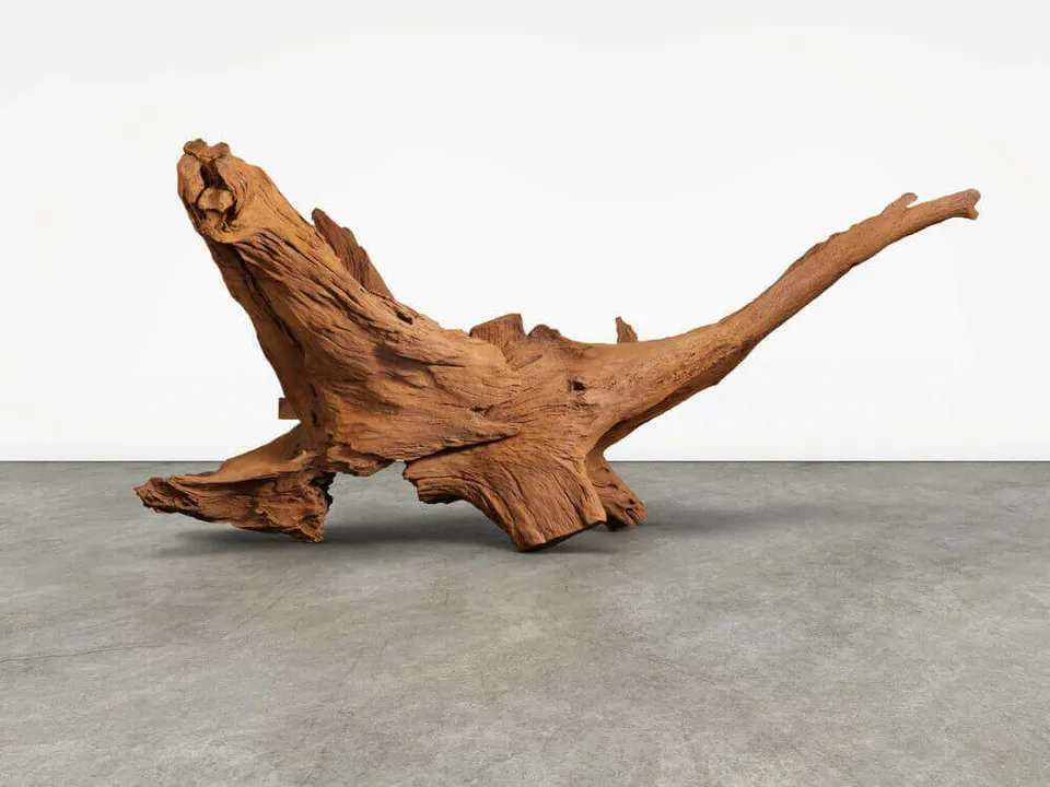 Ai Weiwei, Fly