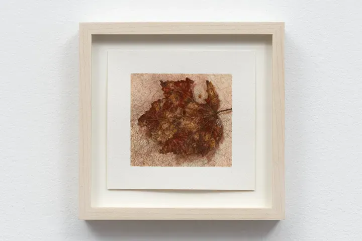 Ellen Altfest, Red Leaf