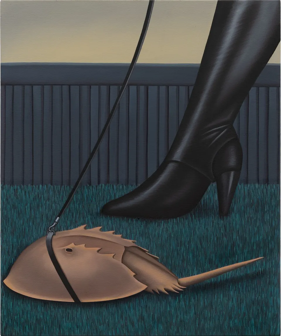 Julie Curtiss, Limule
