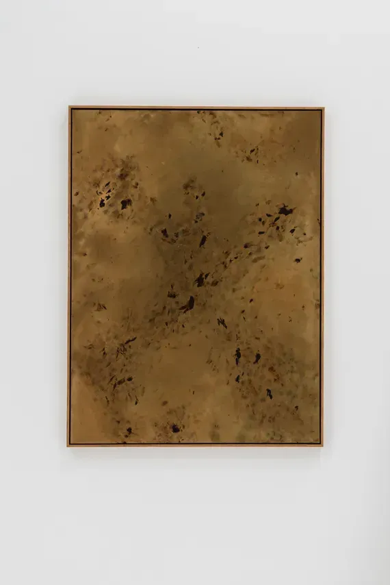 Jan Cools, LLUM "Halcyon"
