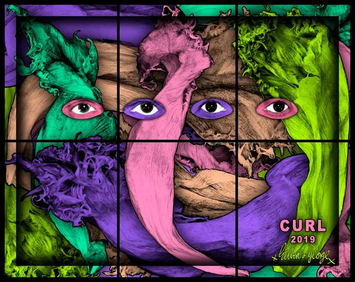 GILBERT AND GEORGE, CURL