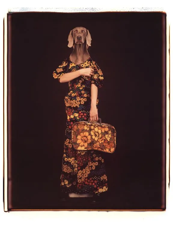 William Wegman, Armed and Matching
