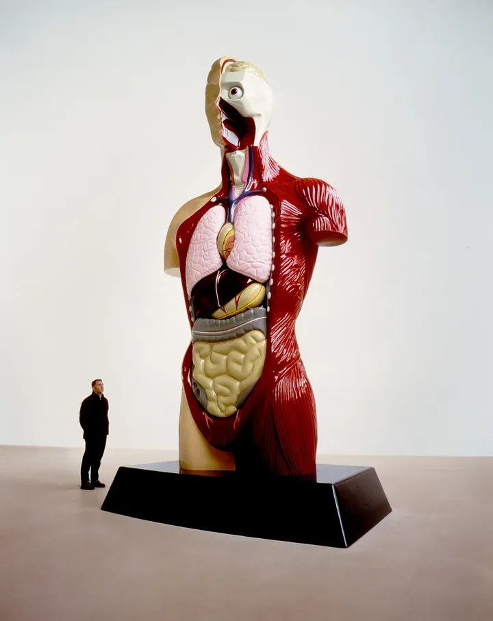 Damien Hirst, Hymn