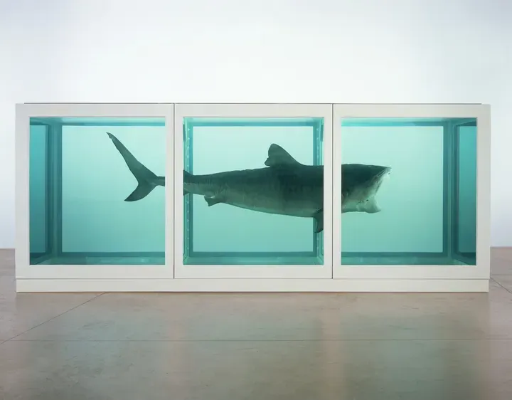 Damien Hirst, The Physical Impossibility of Death in the Mind of Someone Living
