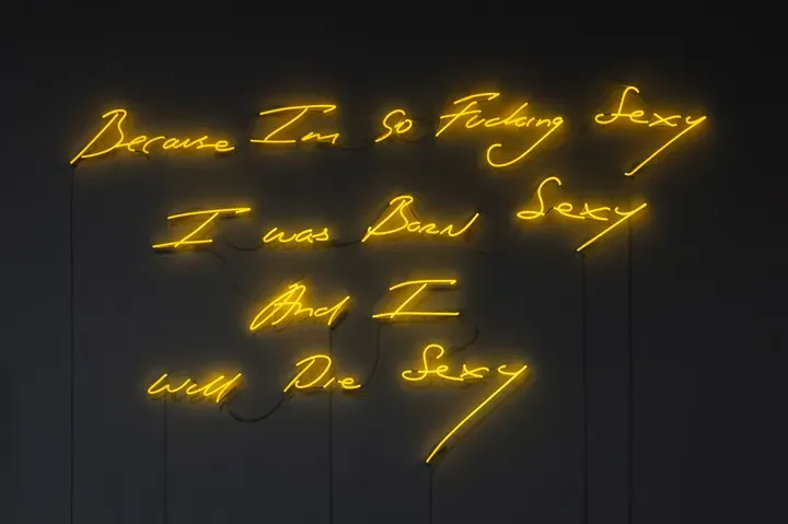 Tracey Emin, Because Im So Fucking Sexy, I Was Born Sexy, And I Will Die Sexy