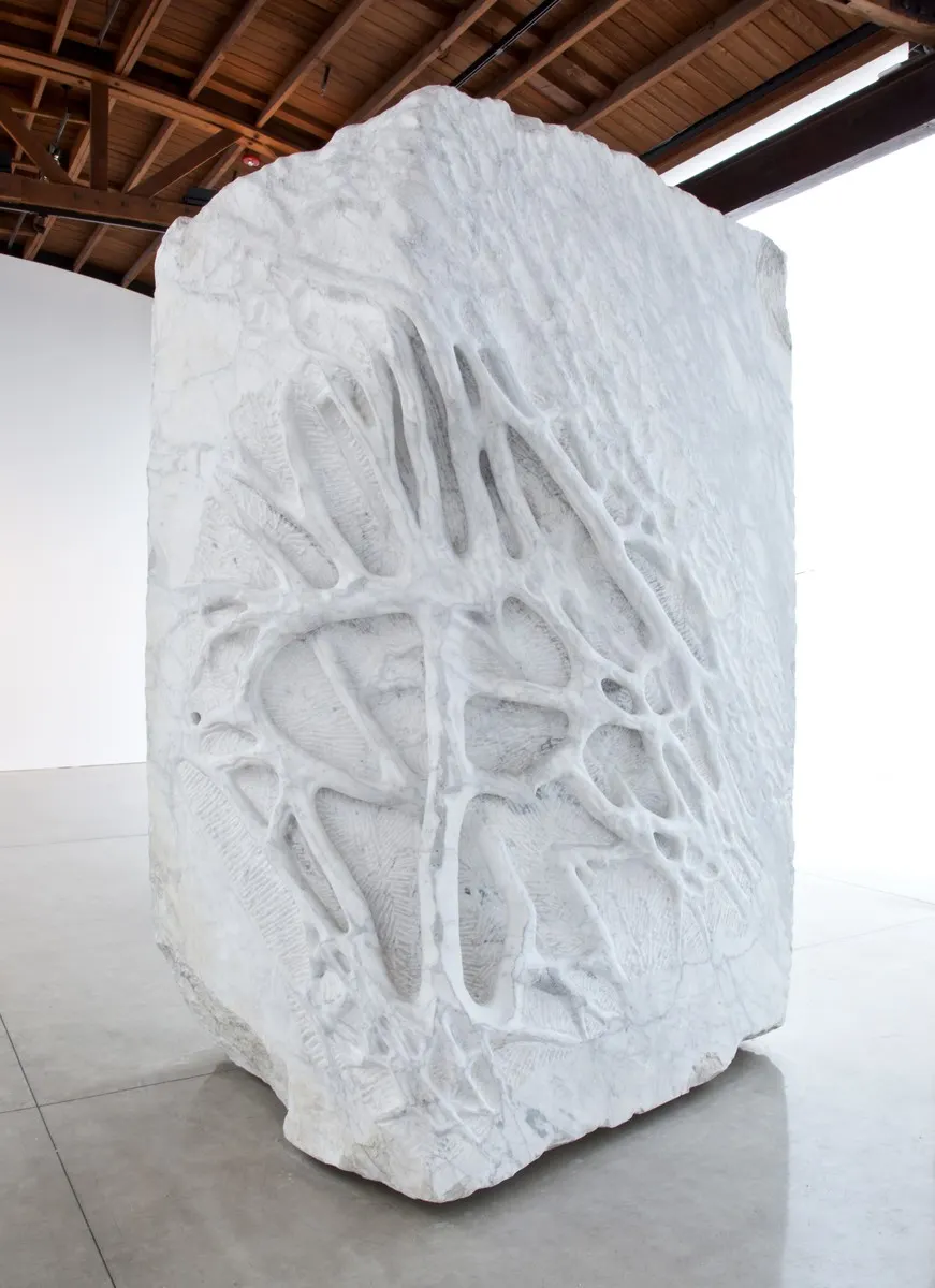 Giuseppe Penone, Giuseppe Penone Anatomia (Anatomy)