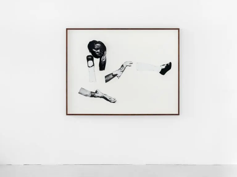 Frida Orupabo, Limbs