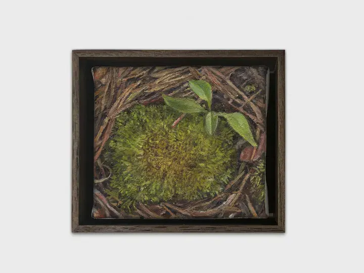 Ellen Altfest, Mountain Moss