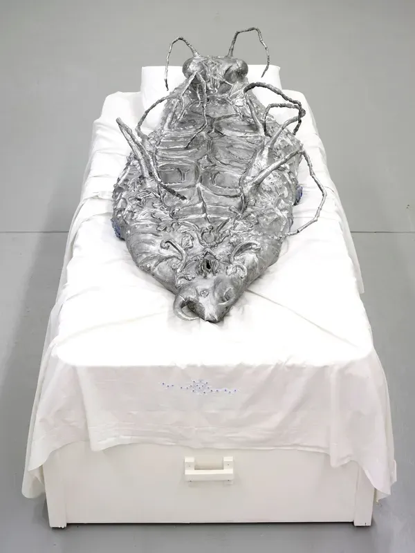 Candice Lin, Metamorphosis in space