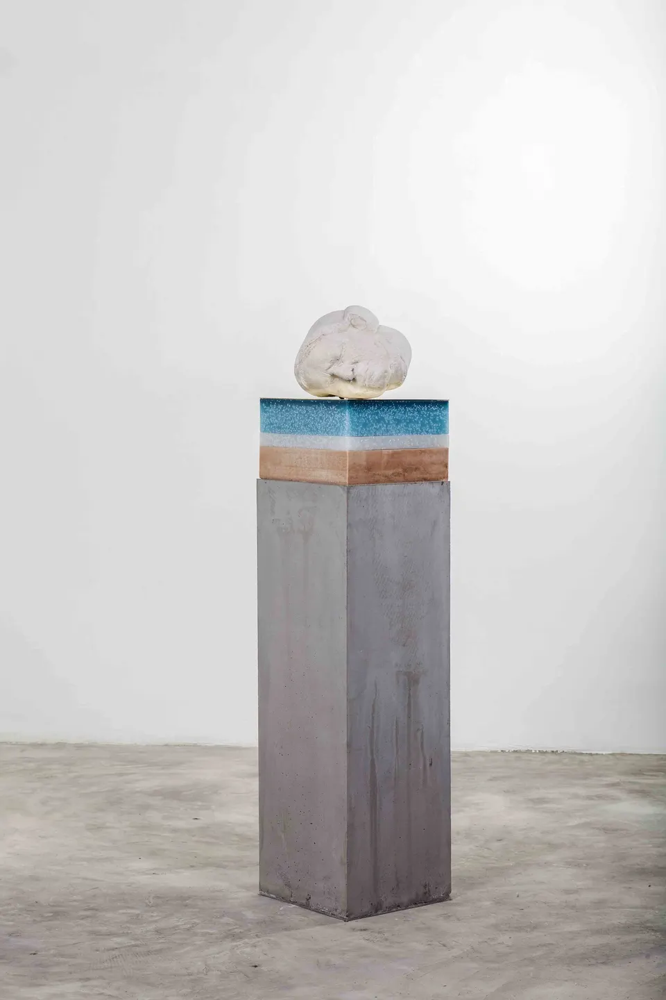Bharti Kher, The half-spectral thing