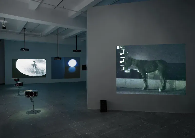 Anri Sala, Purchase Not By Moonlight