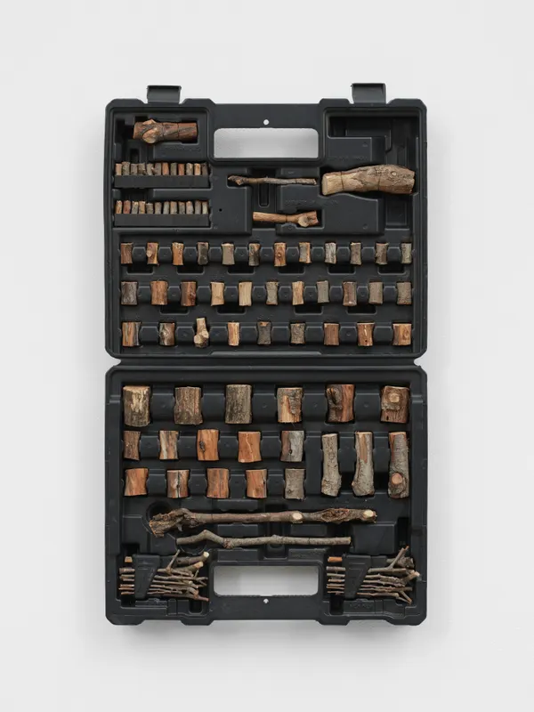 Josh Callaghan, Twig Index 16, 107 Pieces