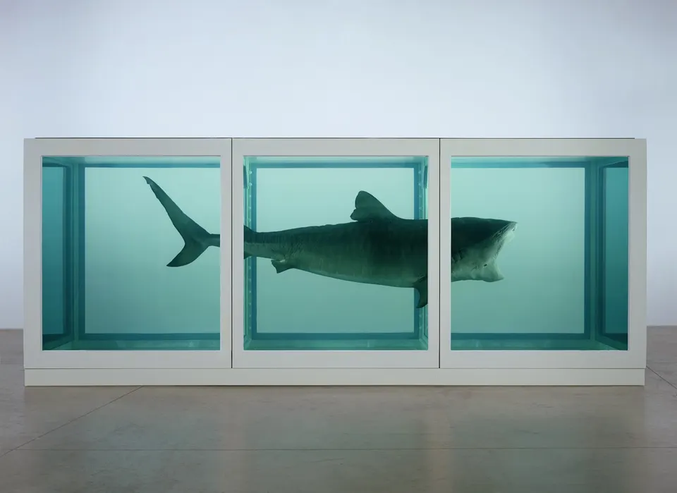 Damien Hirst, The Physical Impossibility of Death in the Mind of Someone Living