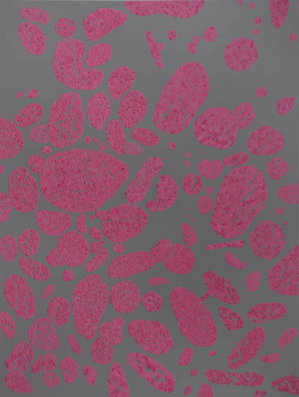 Bharti Kher, Cell III