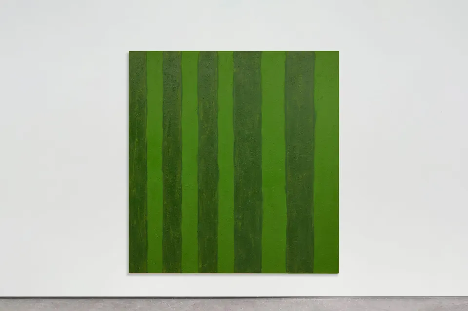 Shaan Syed, Home Lamb