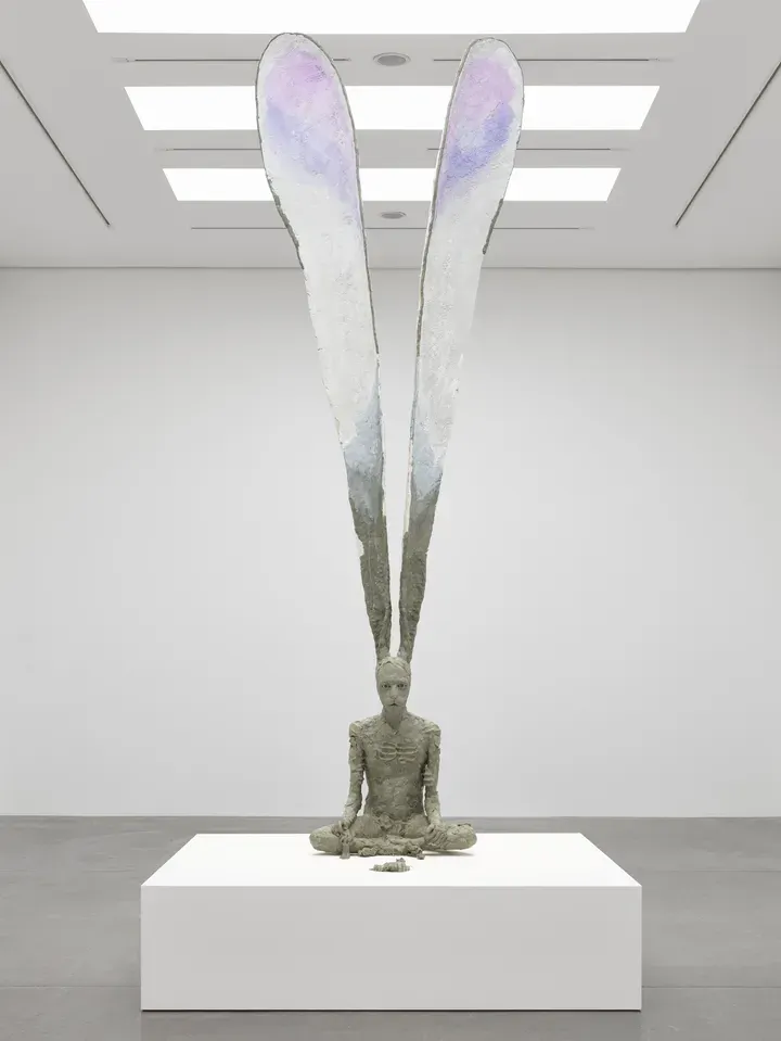 David Altmejd, The Vector