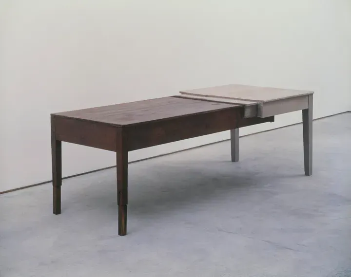Doris Salcedo, Unland: the orphan's tunic