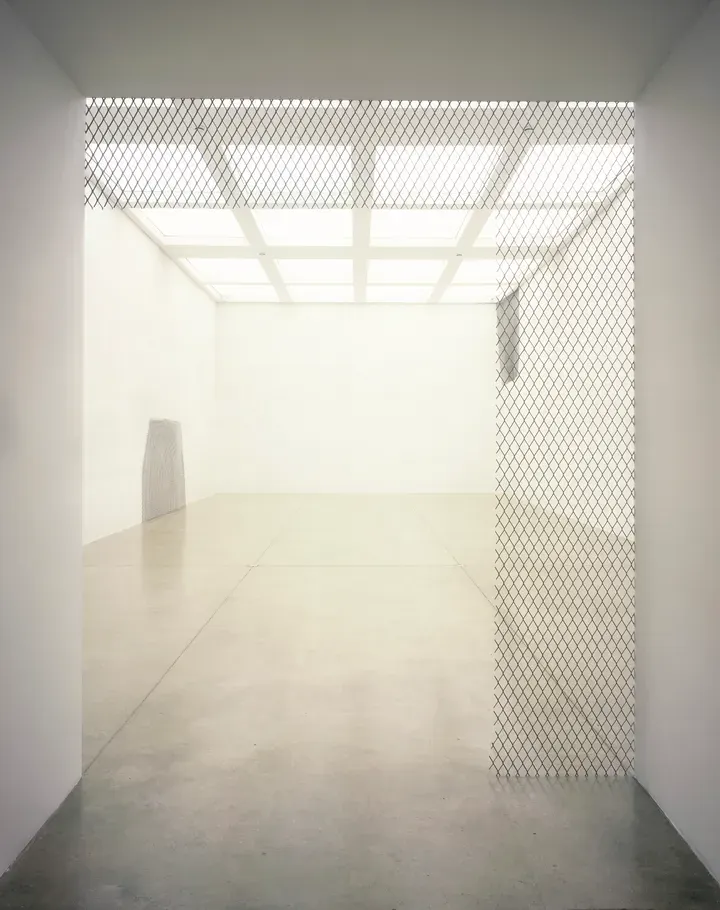 Doris Salcedo, Neither