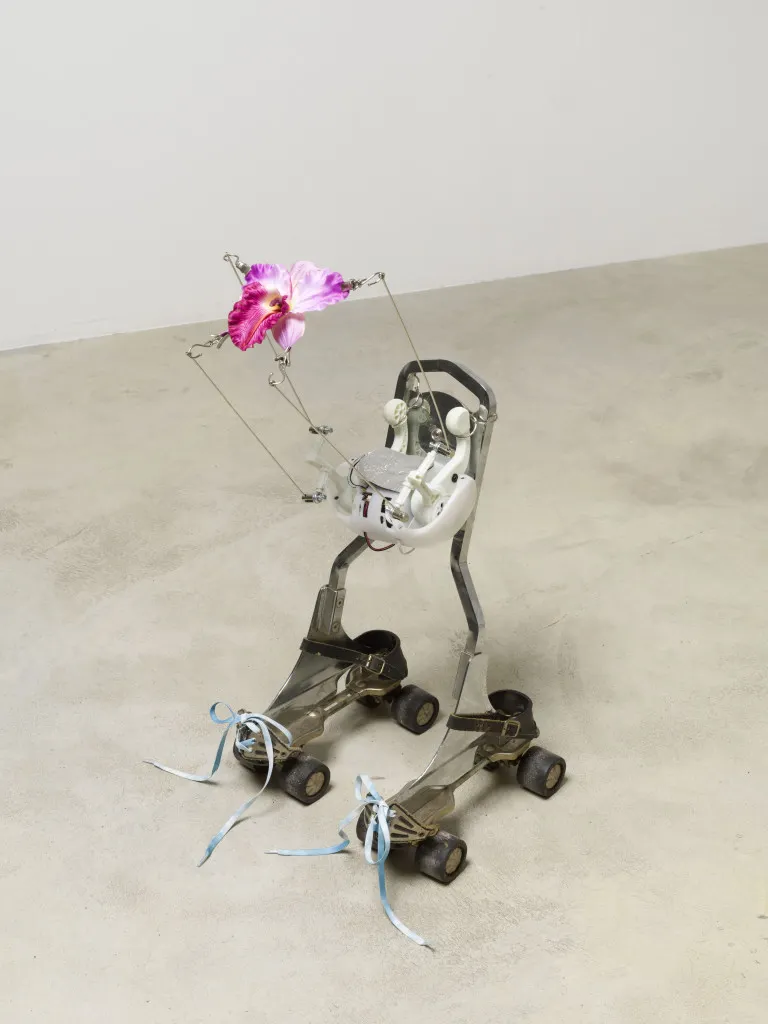 Rachel Youn, Rend