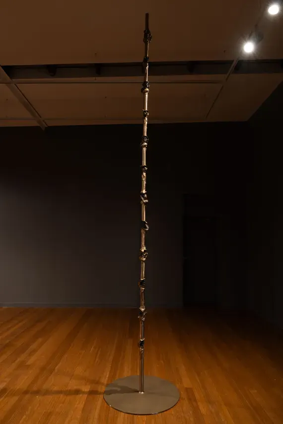 Julie Rrap, Power Climber