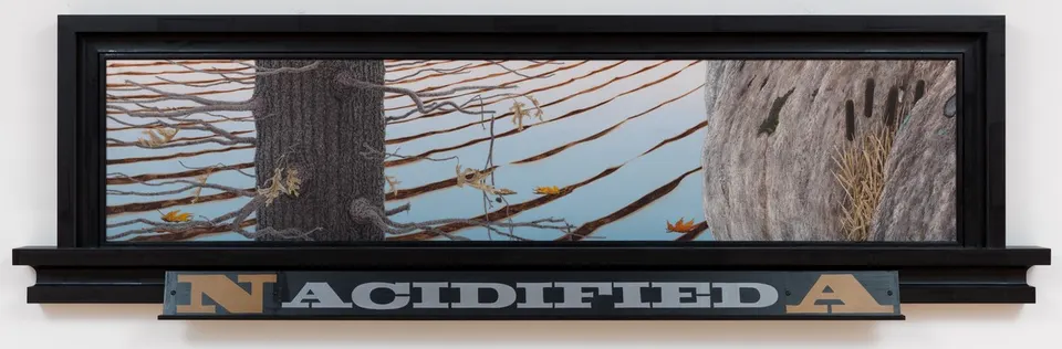Neil Jenney, North America Acidified