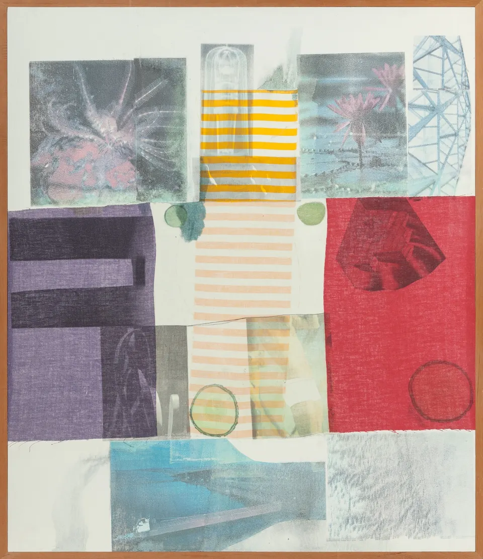 ROBERT RAUSCHENBERG, Van Vleck Series VI
