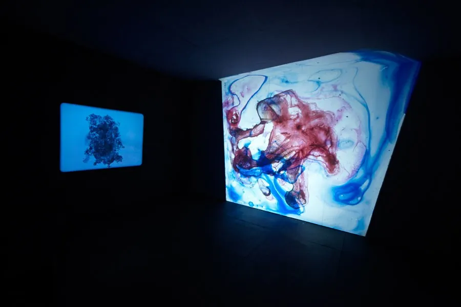 Ellen Gallagher, Osedax