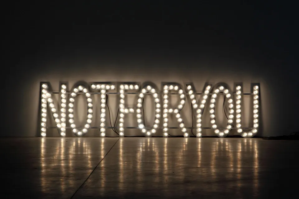 Monica Bonvicini, NOT FOR YOU