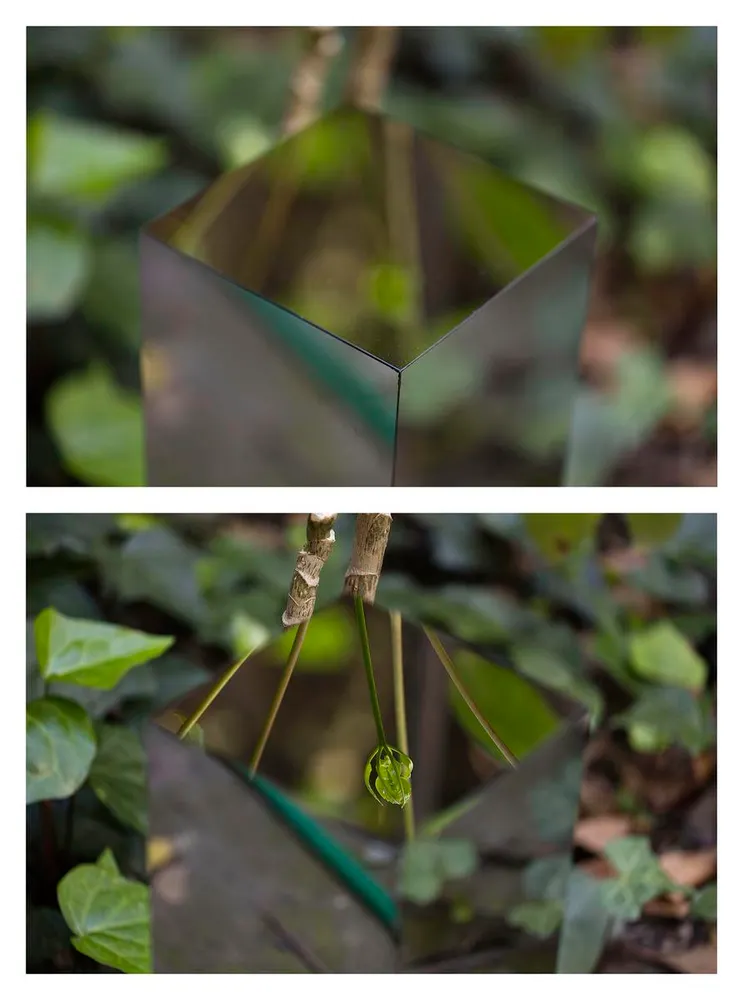 Iñaki Bonillas, secretos: jardín 1