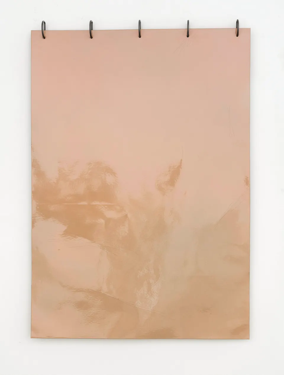 Marie-Michelle Deschamps, Something Close
