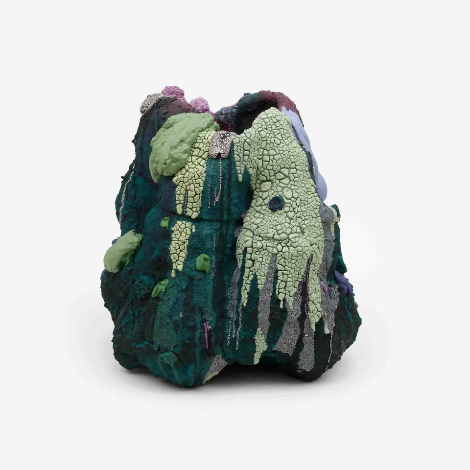 Brian Rochefort, Lichen Code