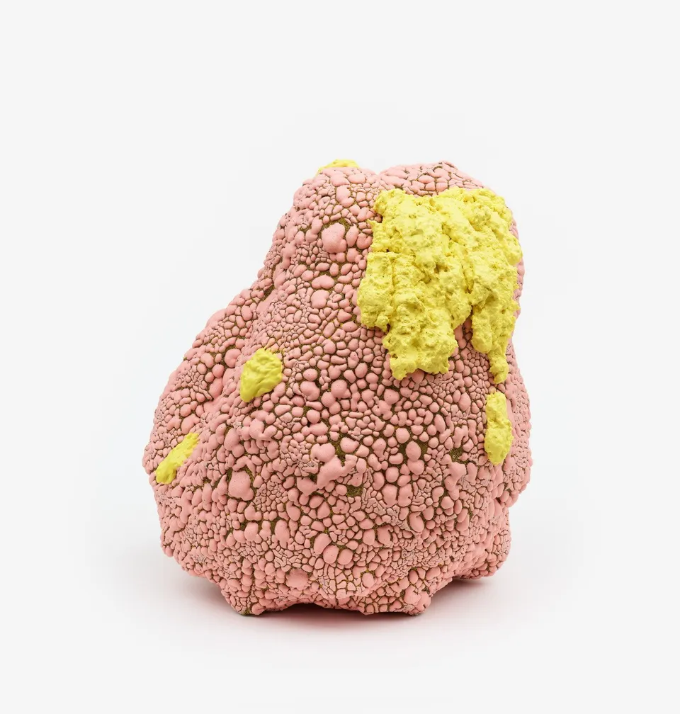 Brian Rochefort, Caudex