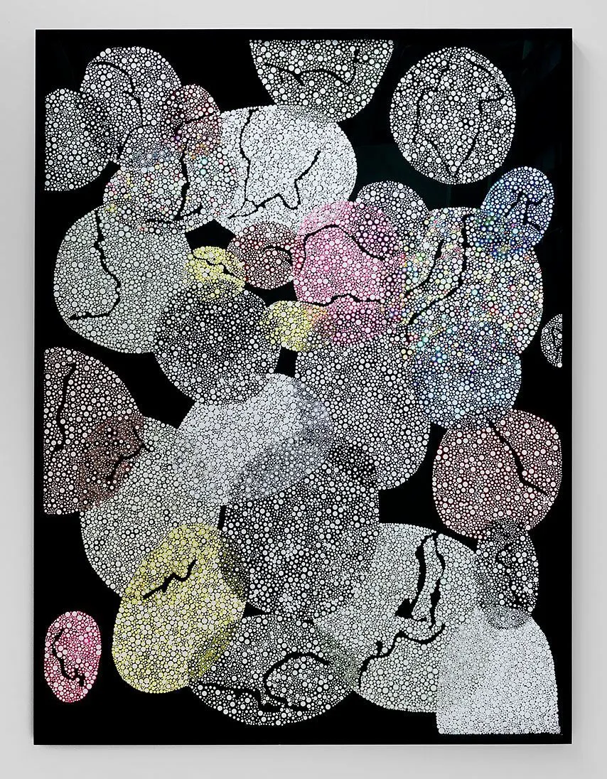 Bharti Kher, Sirius