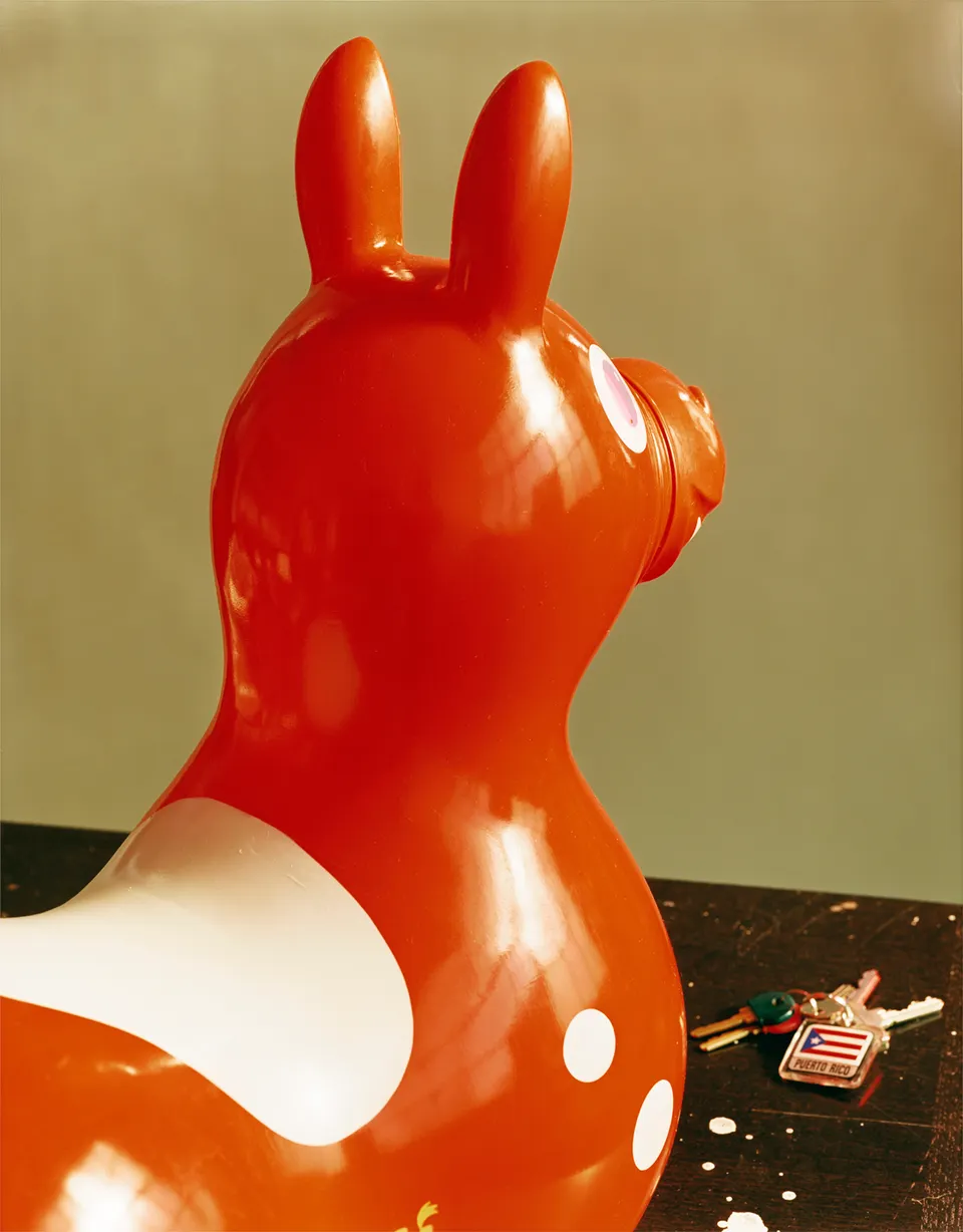 Roe Ethridge, Rody