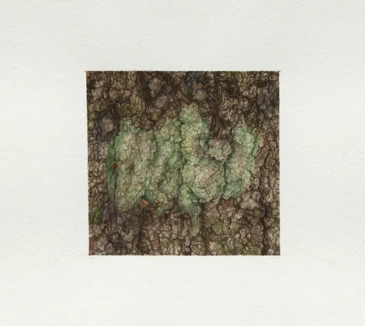 Ellen Altfest, Green Shapes