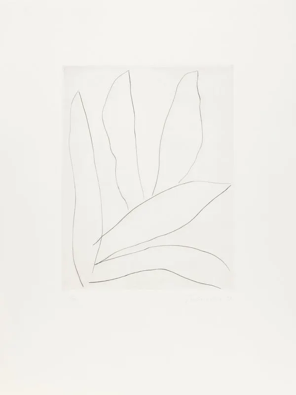 William Turnbull, Leaf Etching 5