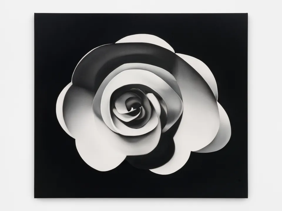 Kara Joslyn, a spiral looks the same from both ends (The Rose)
