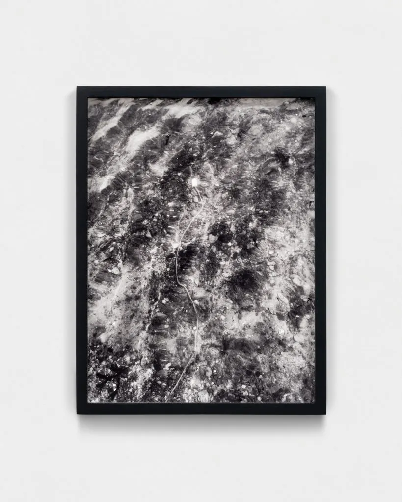 Shannon Ebner, Sound Fish Hydrophone (MW)