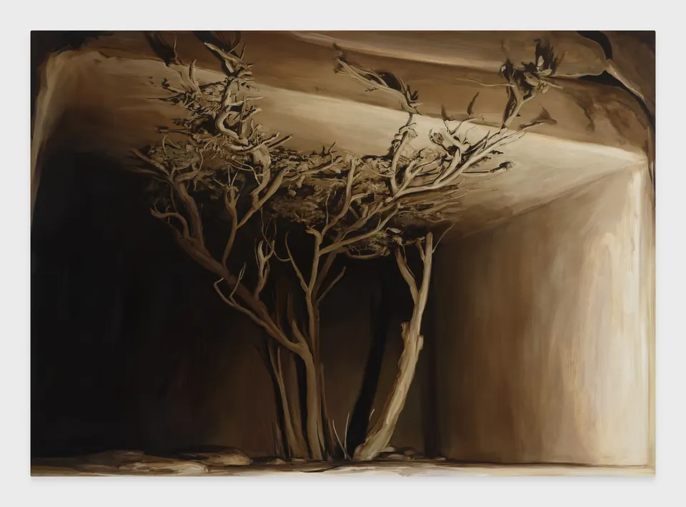 Emma Webster, A Viper in my House